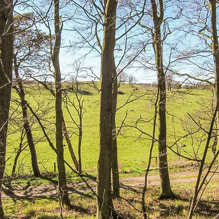 3 Bedroom Awesome In Allinge-Sandvig